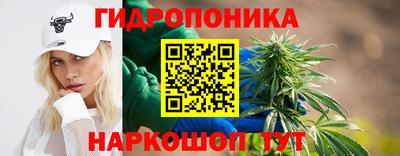твердый Будённовск